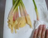 おつまみに最高♪葉生姜のしょうゆ漬け作り方3写真