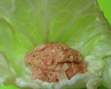 主菜～ロールキャベツ作り方3写真