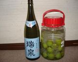 焼酎にこだわった梅酒作り方4写真