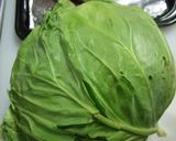 ローストビーフにキャベツミルフィーユ作り方9写真