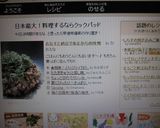 おなすと納豆であまから肉味噌作り方5写真