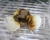 焼きそばの粉ソースで煮卵風♪作り方4写真