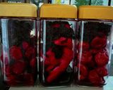梅干・紅生姜・甘酢生姜・梅酒の漬け方！作り方12写真