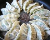 野菜と春雨で餃子♪作り方6写真