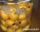 フルーティーでまろやか☆びわ酒作り方3写真