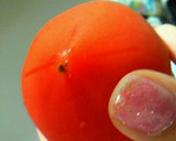 丸ごとトマトのうまうまスープ作り方1写真