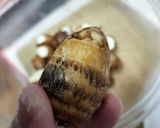 小さい里芋の美味しい処理法作り方3写真