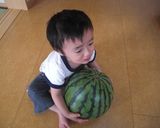 ■和風スイカアイス■作り方12写真