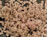 ししとうの唐味噌そぼろあんかけ作り方2写真