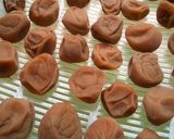 ちょっとだけ梅干し 　赤シソなしで作り方11写真