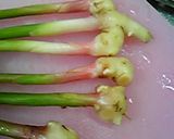 甘酢DE谷中生姜作り方1写真