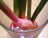 甘酢DE谷中生姜作り方5写真