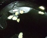 冷たくトマトスープ作り方10写真