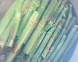 イタドリの下処理　茹でてから皮をむく作り方4写真
