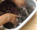 オカン伝授の梅干＆紅生姜作り方16写真
