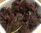 オカン伝授の梅干＆紅生姜作り方15写真