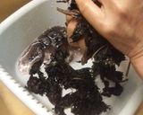 オカン伝授の梅干＆紅生姜作り方19写真