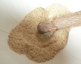 夏向き♬　ガーリック味の塩ゴマドレ♬作り方1写真