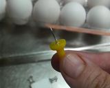 豚バラ☆卵☆大根☆煮作り方1写真