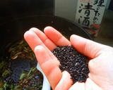 大根菜の炒め物作り方5写真