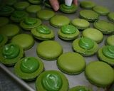 乾燥いらず+簡単ガナッシュの抹茶マカロン作り方7写真