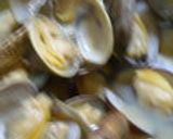 漁師のおかず★あさりのバター蒸し作り方11写真