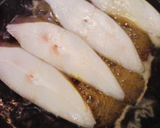 からすかれいの煮つけ作り方1写真