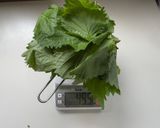 大葉ペースト作り方5写真