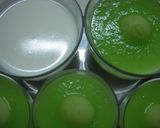 粉ゼラチン（ヨーグルトのメロンがけ）作り方10写真