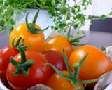 夏野菜のマリネ作り方1写真