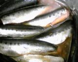 簡単!!浅漬けの素でイワシの煮付け作り方4写真
