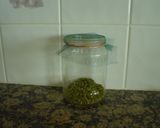お家で豆のスプラウト(もやし）作り方3写真