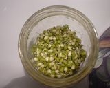 お家で豆のスプラウト(もやし）作り方6写真