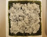 サーモンの変わり細巻き（サラダ巻き風）作り方3写真
