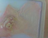 パリパリ鶏皮餃子作り方3写真