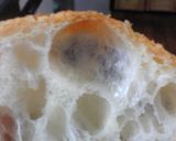 オートリーズで作る強力粉のフランスパン作り方15写真