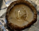 椎茸が美味しい生ハムチーズトースト作り方3写真
