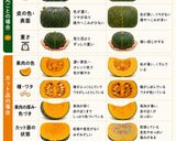 保存版✅かぼちゃのレンジ加熱｜量別時間早見表作り方1写真