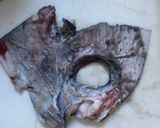 マグロヘッドトライアスロン作り方3写真