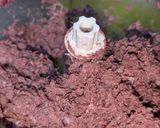 マグロのメンチカツ作り方2写真