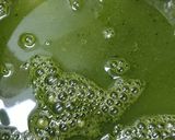 本物の抹茶で美味しい抹茶ゼリー作り方1写真