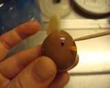 うずらでこっこちゃん[小手間][お弁当]作り方10写真