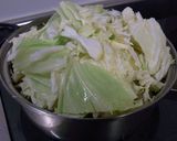 材料二つ　鶏とキャベツの重ね煮作り方5写真