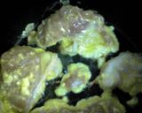 節約！鶏むね肉のふわふわピカタ作り方4写真
