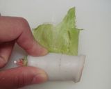 サラダ感覚で竹輪のくるくる巻作り方3写真
