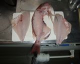 お子様安心 骨なし鯛飯作り方4写真