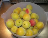 冷蔵庫で梅干し作り(紫蘇入)作り方1写真
