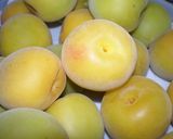 冷蔵庫で梅干し作り(紫蘇入)作り方3写真