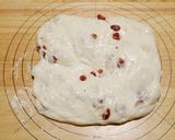 冷蔵発酵 クランベリーのリュスティック作り方15写真