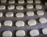 塩レモン味のクッキー!作り方11写真